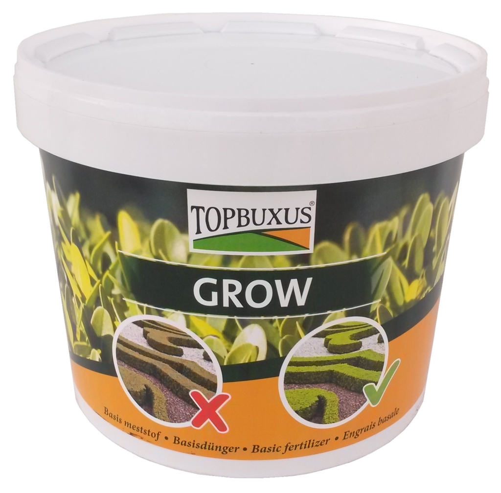 TOPBUXUS GROW