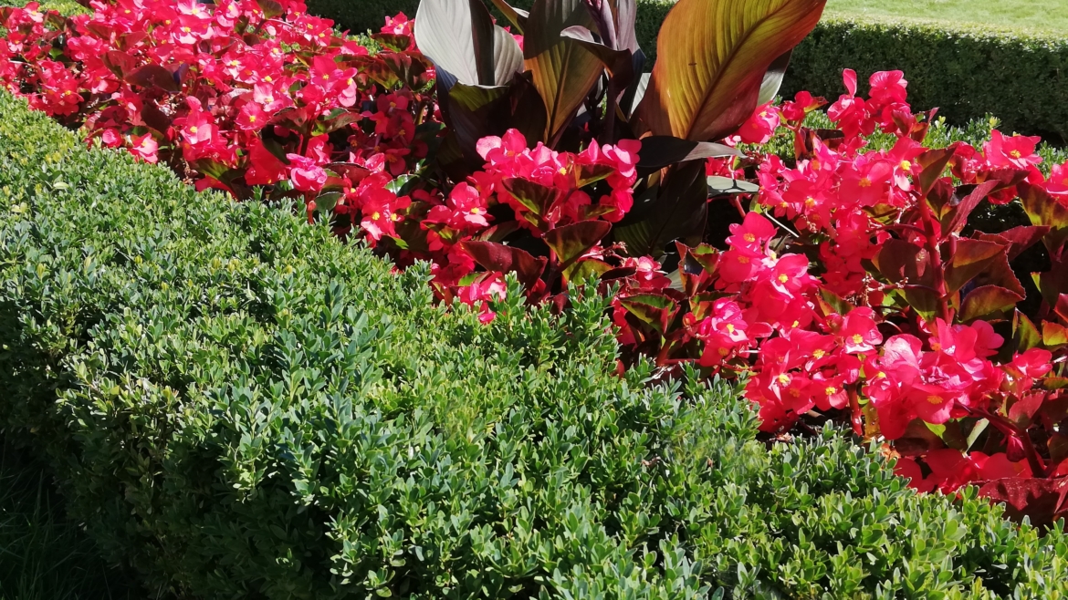 Jak sobie poradzić z niedoborem wody?  — Hydrożel