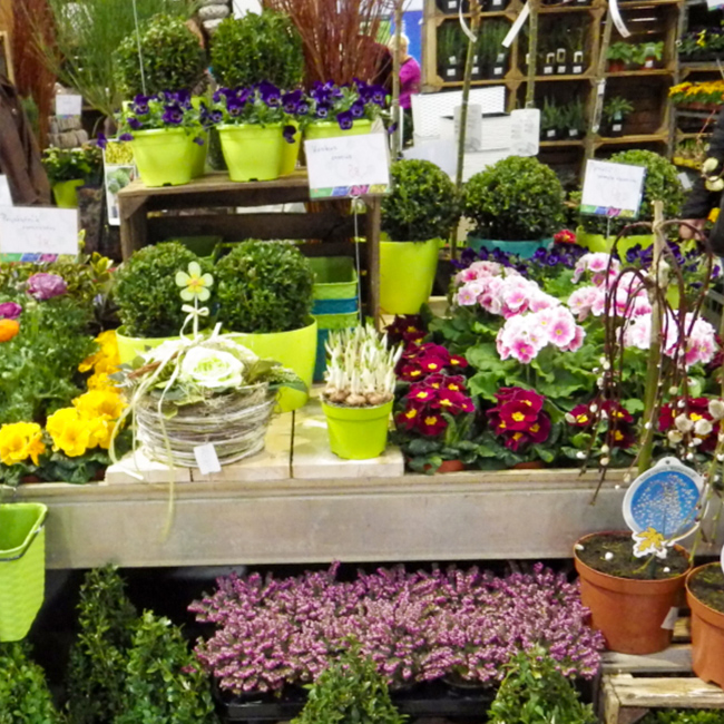 CZECHY, TARGI OGRODNICZE I ROLNICZE